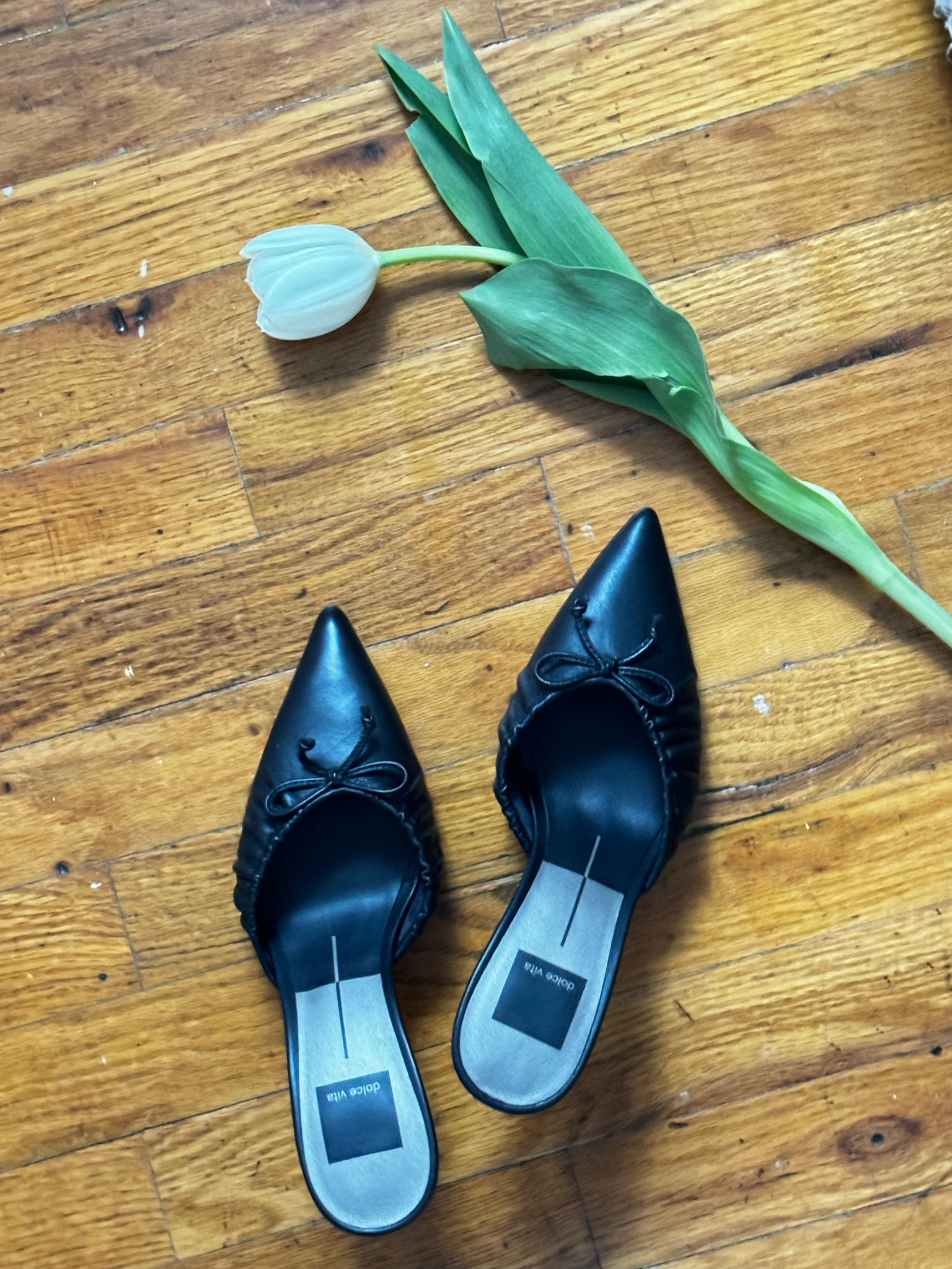 Transitional mules for spring by Dolce Vita

Stiletto heels • Kairi heels in black leather 

#LTKshoecrush #LTKstyletip
