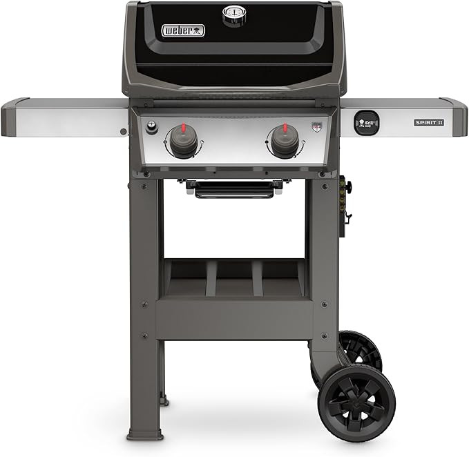 Weber 44010001 Spirit II E-210 2-Burner Liquid Propane Grill, Black | Amazon (US)