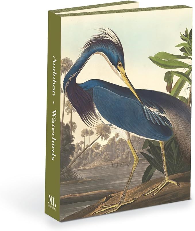 Nelson Line Audubon Waterbirds Notecard Wallet with Envelopes, 4.5 x 6-Inches, Pack of 12 Cards | Amazon (US)