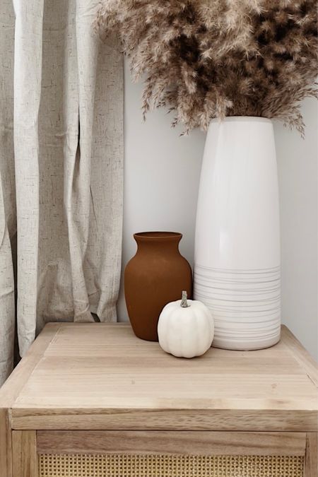 neutral fall decor 🍂 warm fall decor, pampas fillers for your fall vases and adorable neutral pumpkins. decorate your home for fall with a neutral palette and see how perfectly everything comes together! 

#LTKhome #LTKunder50 #LTKSeasonal