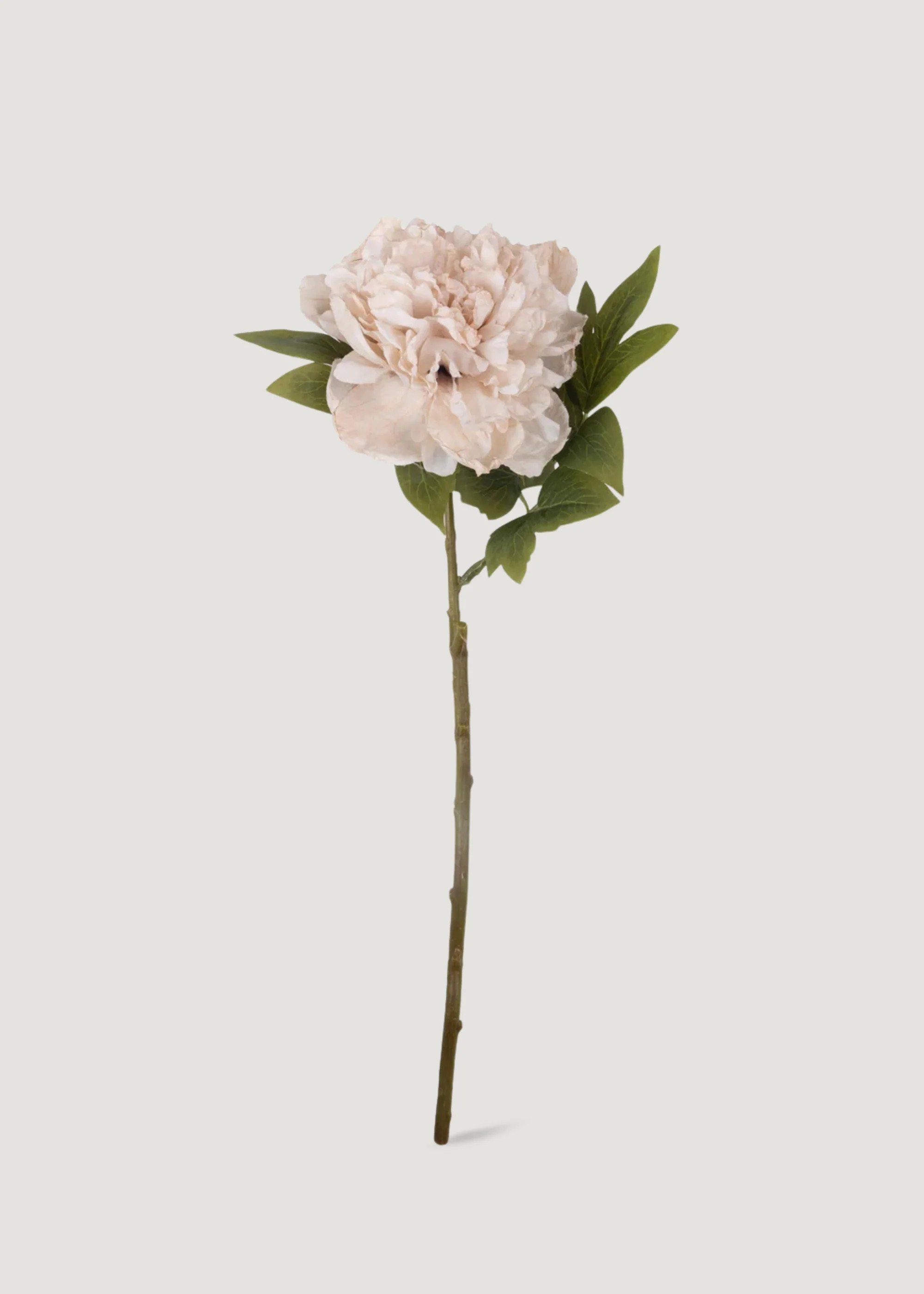 Blush Peony Stem | Nature-Inspired Fake Flowers at Afloral | Afloral