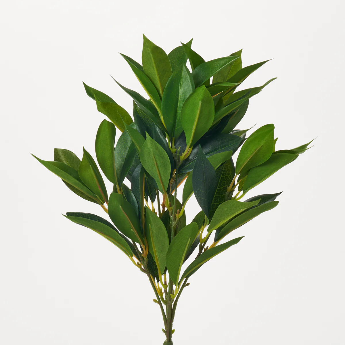 Leafy Everyday Green Shikibu Foliage Pick All Seasons Greenery Bush Spray - 15" | Darby Creek Trading