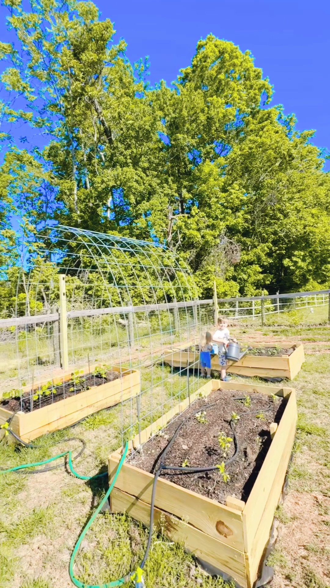 the best way to start our days out in the garden!! 