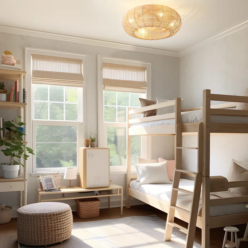 Hoai 20" Boho Caged Ceiling Fan with Lights Flush Mount | Wayfair North America