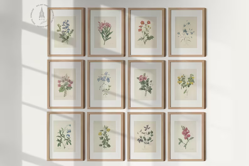 Vintage Botanical Gallery Wall Set of 12, Botanical Prints, Vintage Floral Prints, French Country... | Etsy (US)