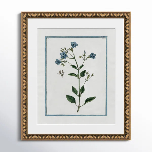 Shabby Elegance Botanical II by Kelly Donovan | Birch Lane
