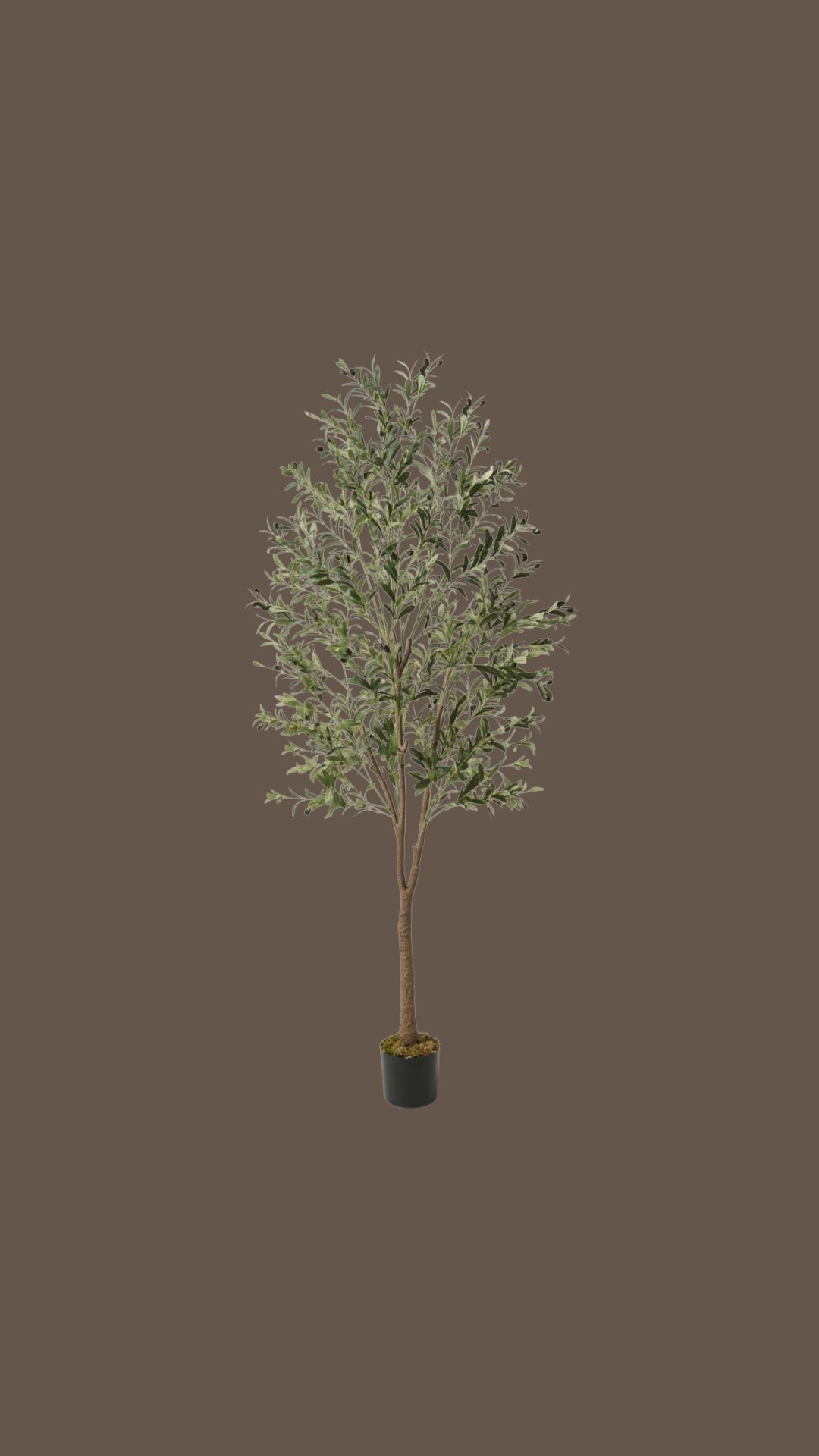 Artificial olive tree for $100! 

@wayfair #wishyouwerehere #outdoor #wayfair   #Ad  #WayfairPartner 

Dressupbuttercup.com #dressupbuttercup #dederaad


#LTKSeasonal #LTKHome