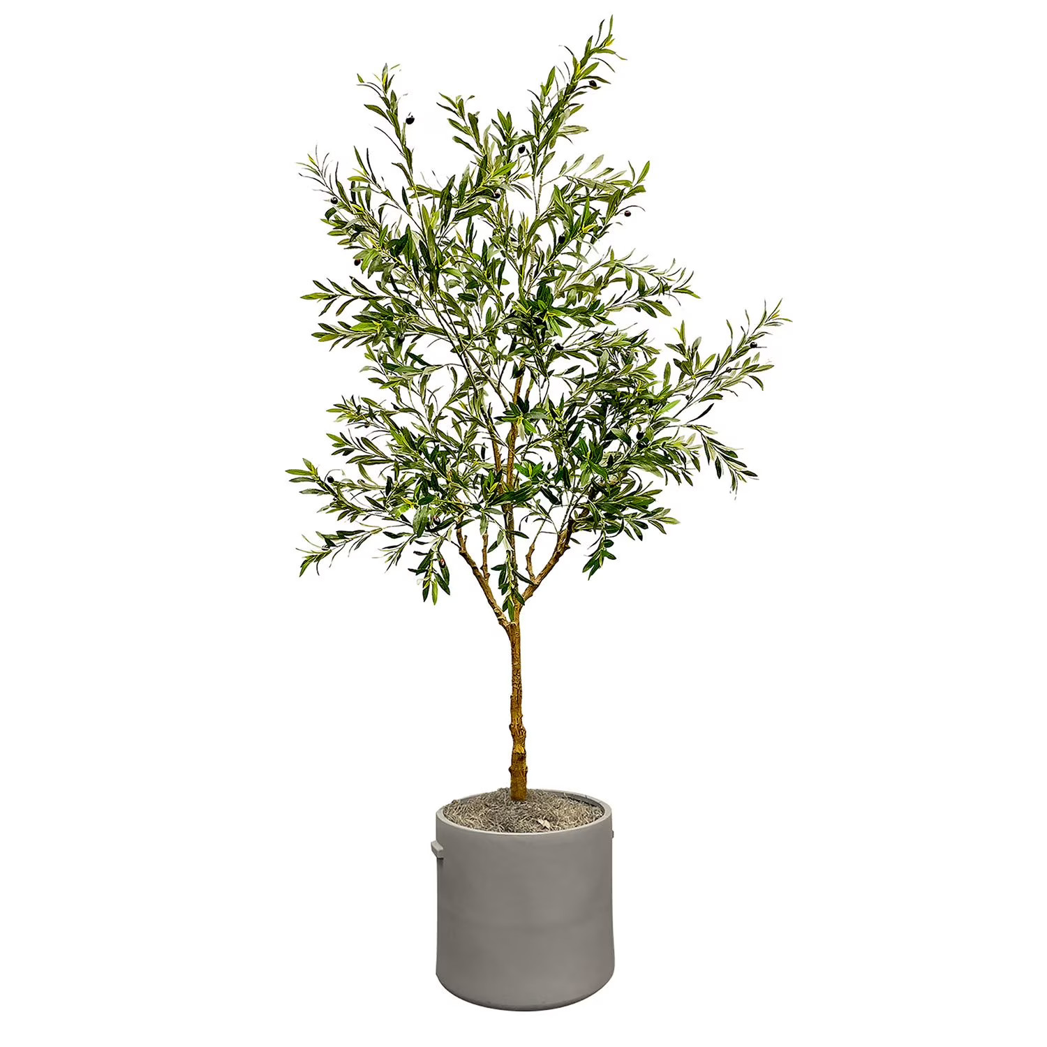 Faux 8' Olive Tree in Oversized Ceramic Pot | Sam's Club