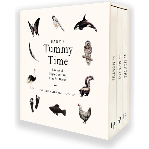 Baby's Tummy Time Book Box Set - Paige Tate Books | Maisonette | Maisonette