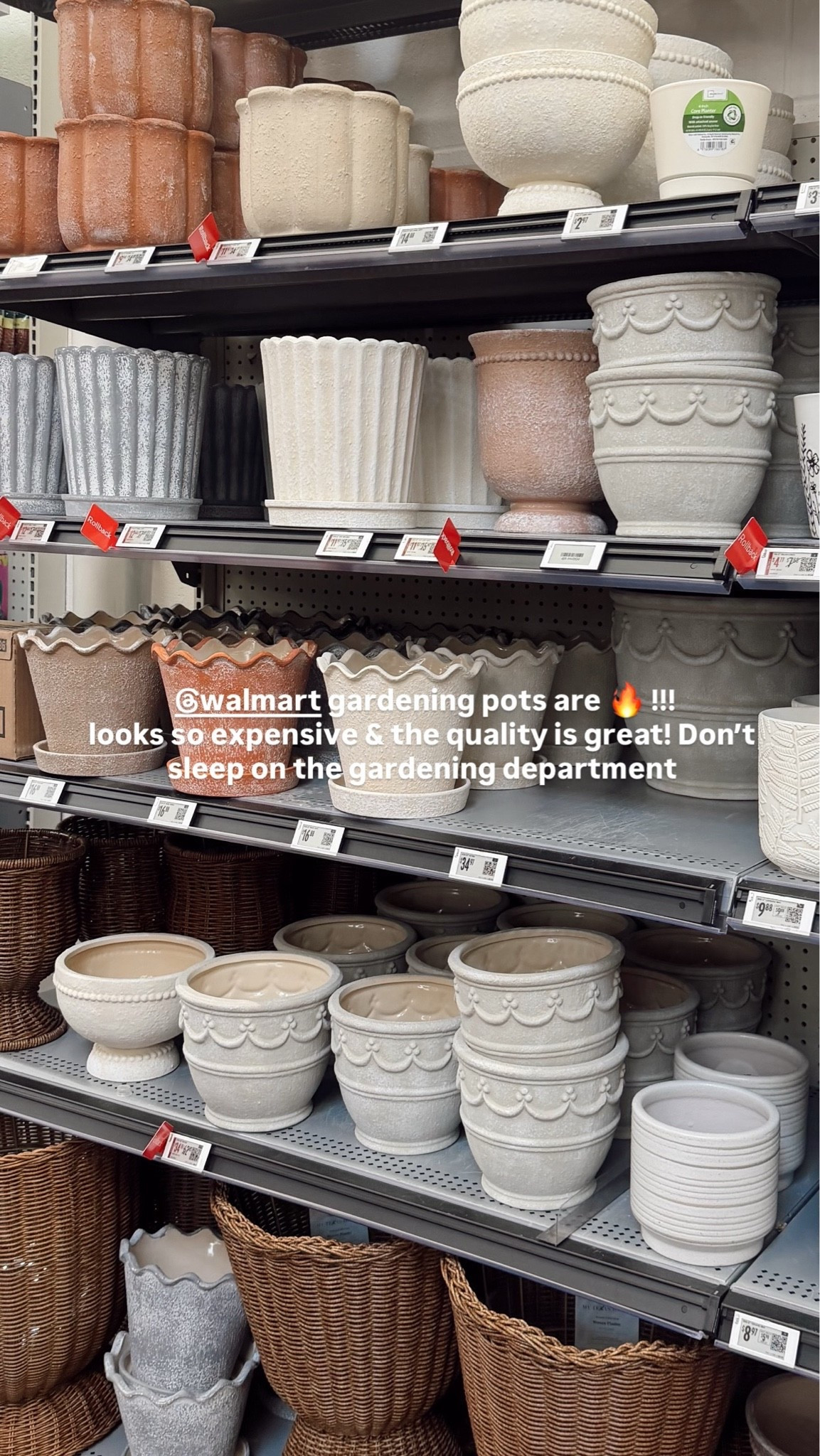 Do not sleep on Walmart for planters!! They look like Pottery Barn but are a fraction of the price! I picked up several for our house! 🪴👒

#LTKActive #LTKHome