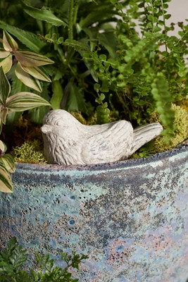 Cement Bird | Terrain