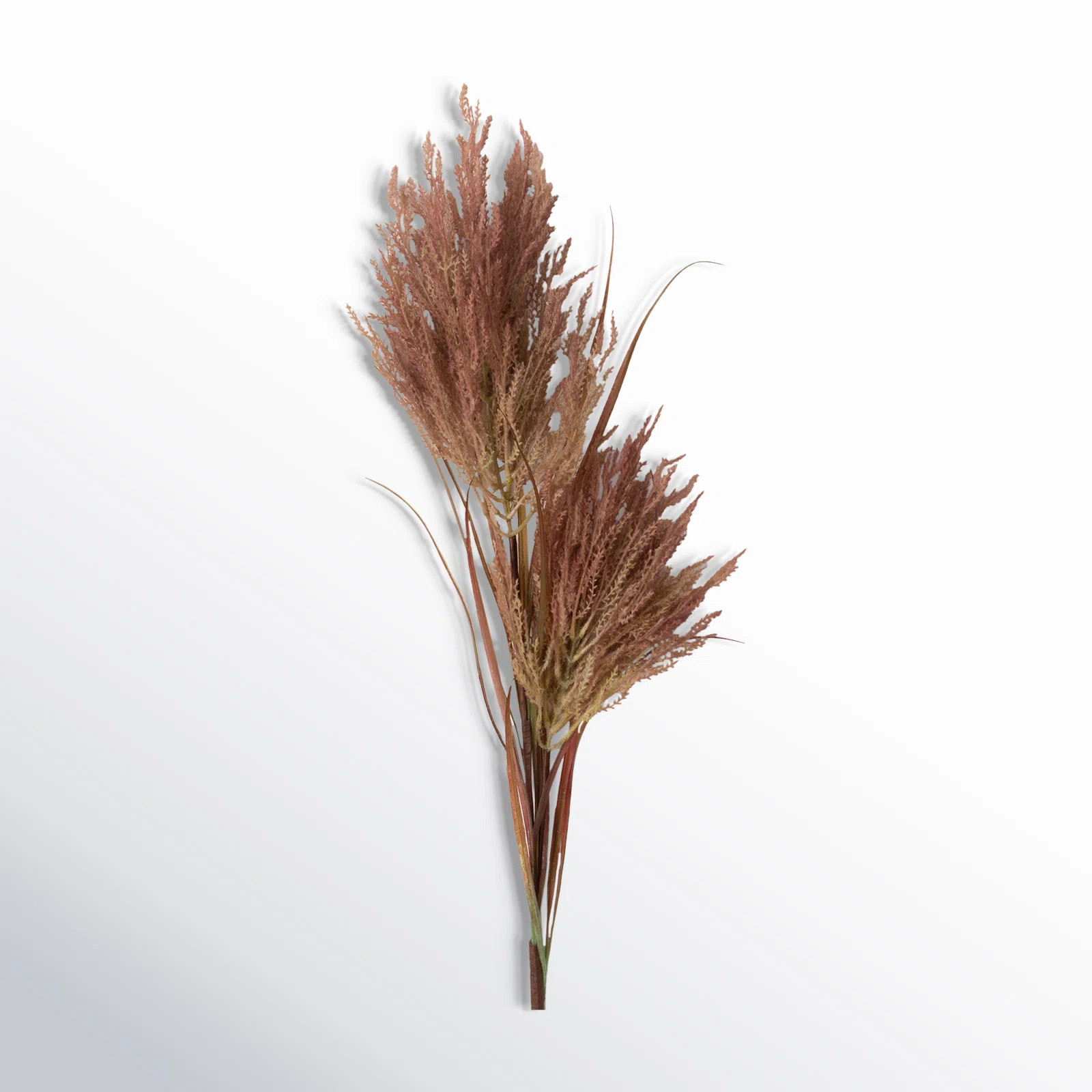 Birch Lane™ Madie Reed Stems & Reviews | Wayfair | Wayfair North America