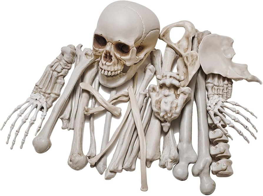 1 Bag of 28 Pieces Life Size Skeleton Bones Halloween Decorations Outdoor Indoor, Fake Plastic Hu... | Amazon (US)