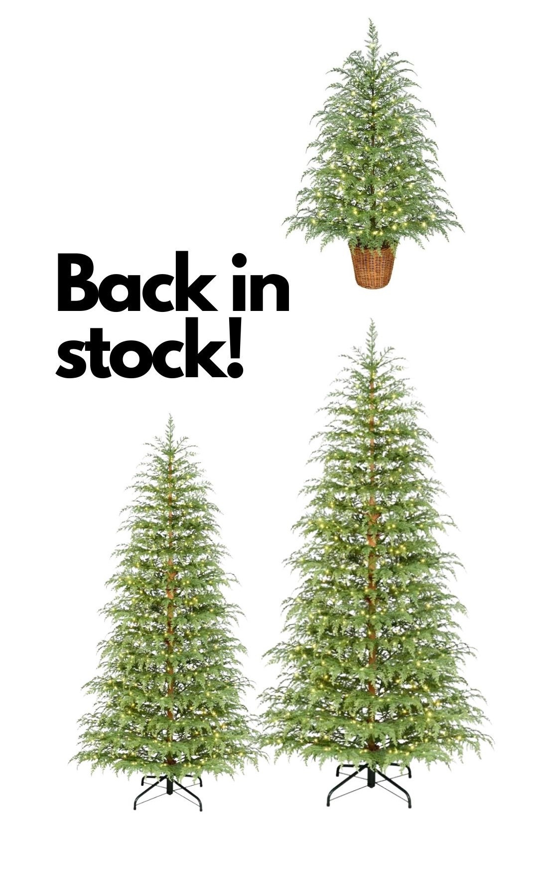 The viral cypress trees from My Texas House are currently back in stock but selling fast!

#LTKSeasonal #LTKHoliday #LTKHome