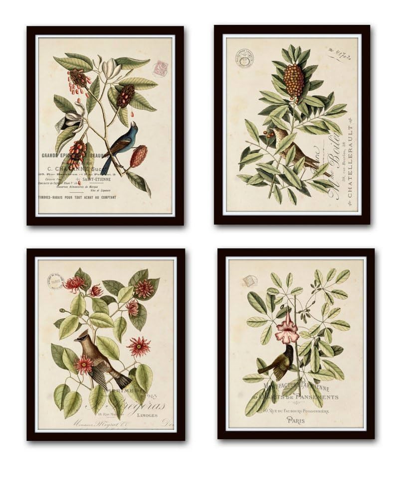 Vintage Bird and Botanical Prints Set of 4 Giclee Fine Art Prints, Botanical Prints, Wall Art Pri... | Amazon (US)