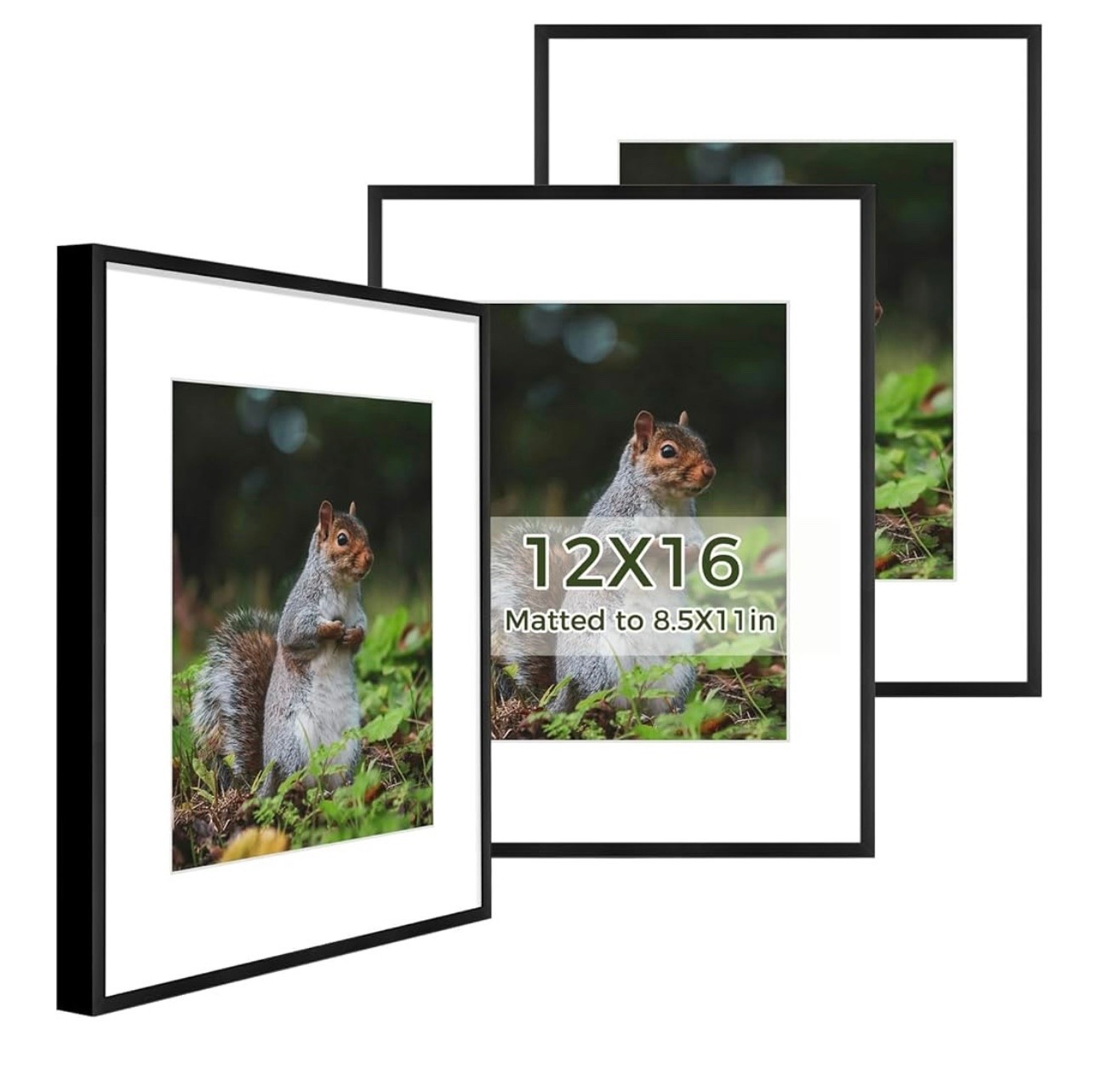 12x16 Picture Frame 3 Pack - Aluminum Frames with 8.5x11 Removable Mats & Real Glass

#LTKHome #LTKFindsUnder50 #LTKStyleTip