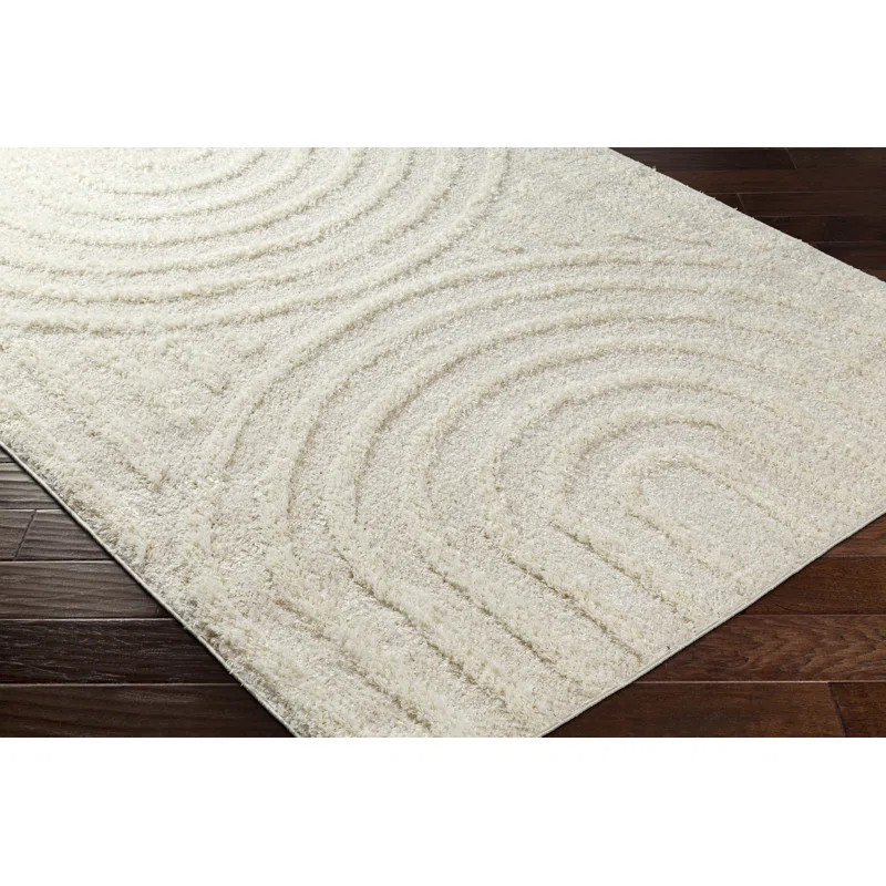 Damarian Beige Shag Area Rug | Wayfair North America