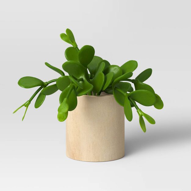 Small Succulent Wood Pot - Threshold™ | Target