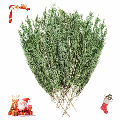 6OZ Preserved Real Pine Leaves Branches -17'' Natural Christmas Greenery Plants Twigs Stems Pine Needles Evergreen Picks for Garland Wreath Xmas Wedding Home Party Décor | Amazon (US)