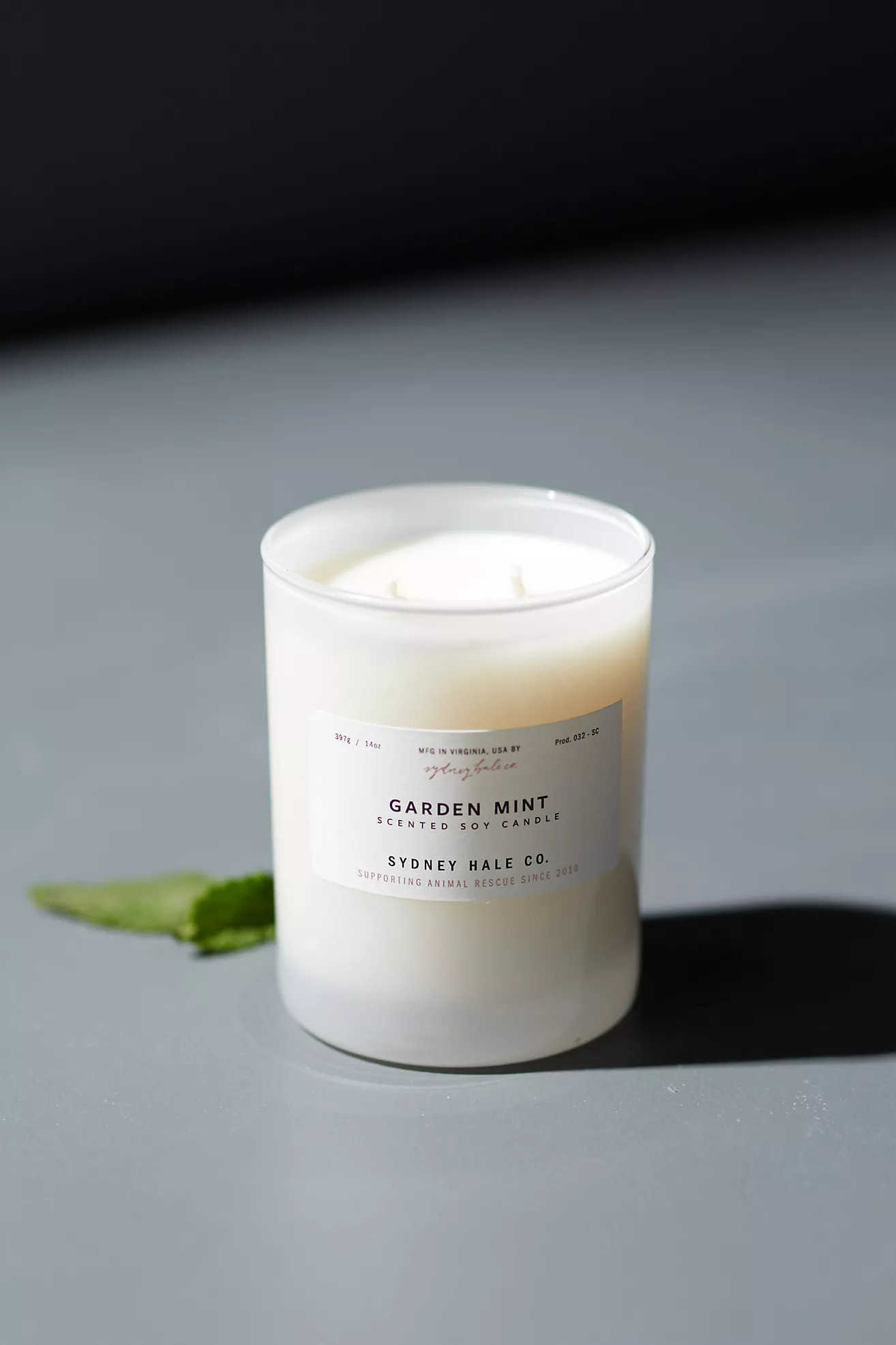 Sydney Hale Candle, Garden Mint | Anthropologie (US)