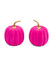 Set Of 2 Flocked Pumpkins | Marshalls