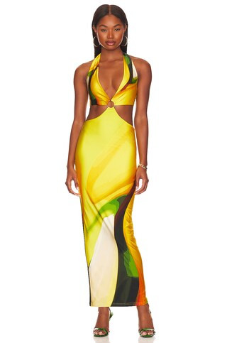 x REVOLVE Gaia Long Dress
                    
                    Farai London | Revolve Clothing (Global)