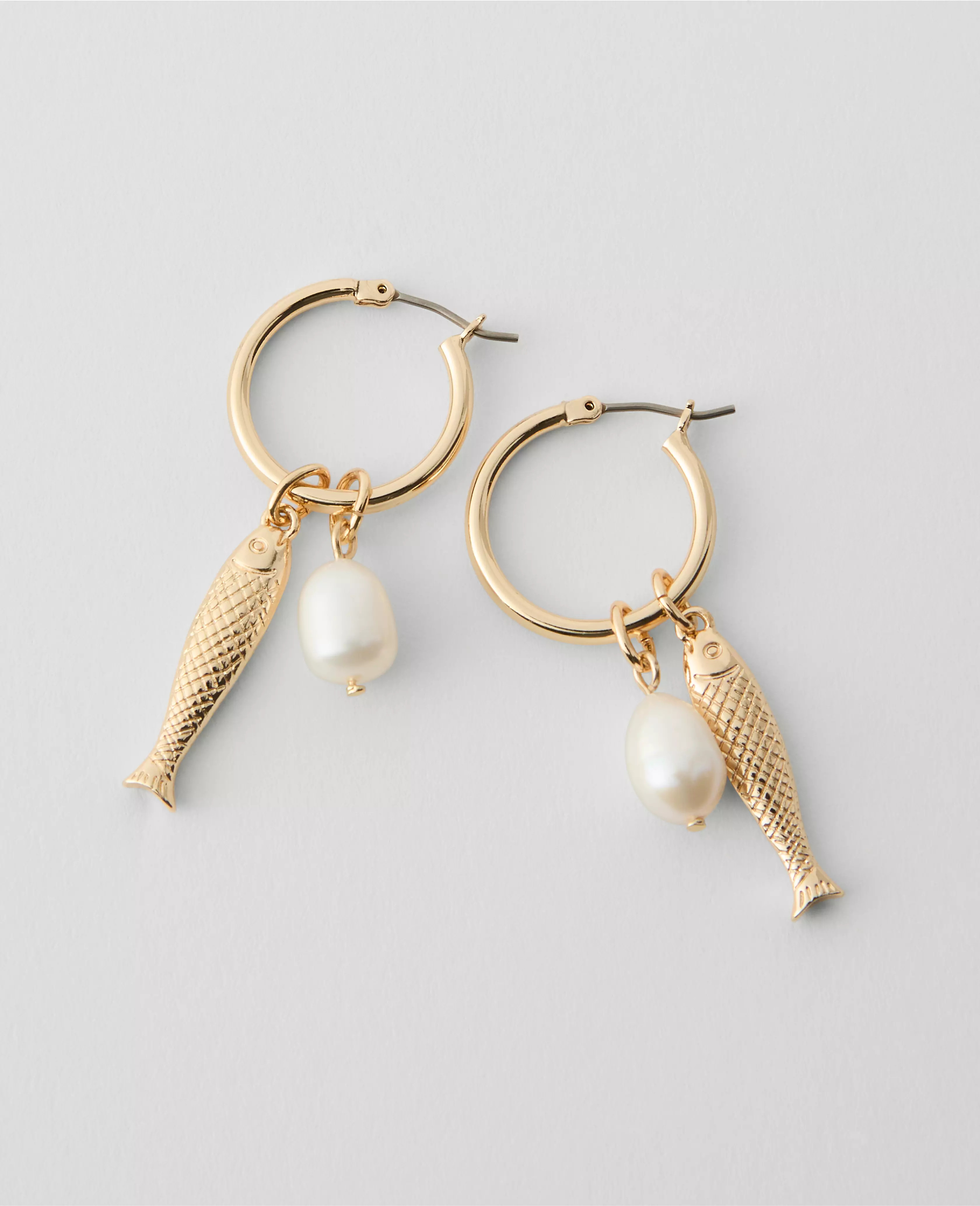 Sardine Hoop Earrings | Ann Taylor