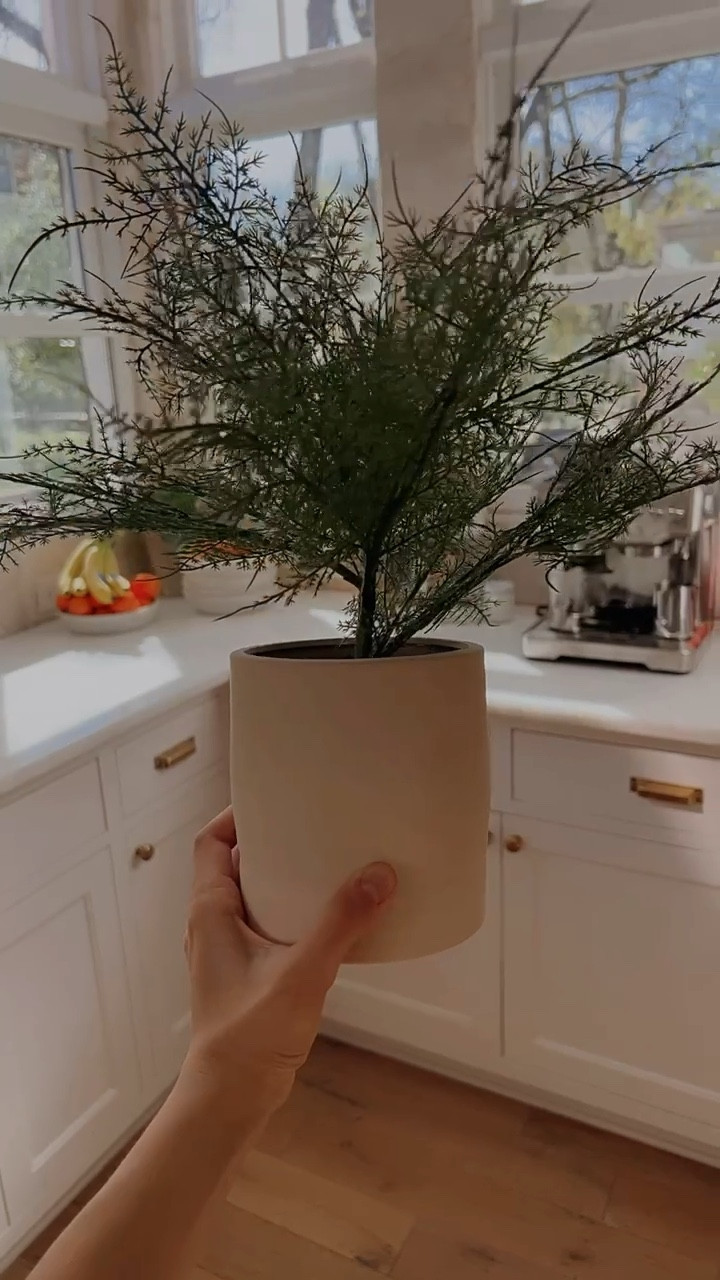 I’m pick with my faux plants so when I saw this beauty at Target, I just had to get it! 

#LTKFind #LTKhome #LTKunder50