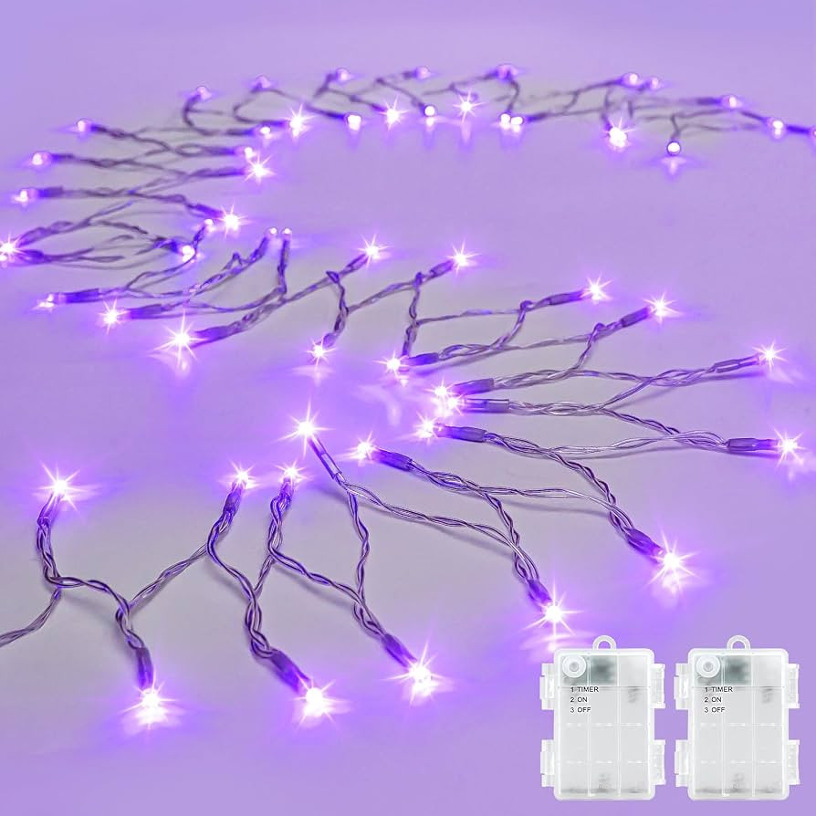 cshare String Lights Outdoor Waterproof 9.8ft 30 LED, Purple Fairy Lights Battery Operated with T... | Amazon (US)