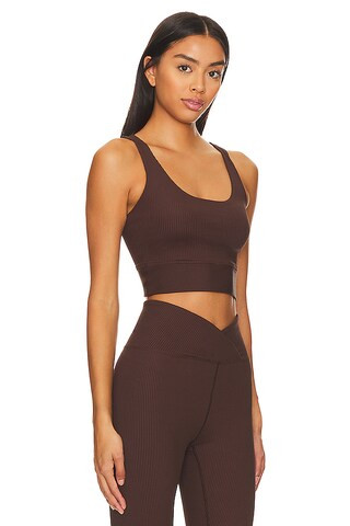 Ribbed Gym Bra in Dark Oak | Revolve Clothing (Global)