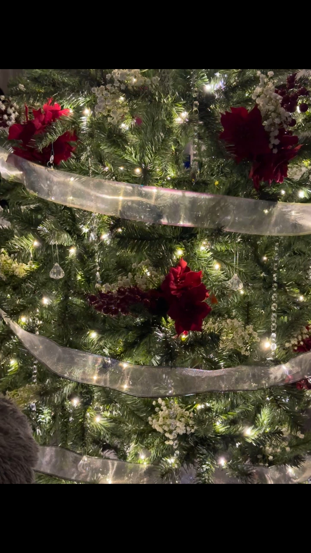 Our Christmas tree! Merry Christmas! 🎄🎄🎄♥️♥️♥️

#LTKHoliday #LTKdayinmylife #LTKFindsUnder100