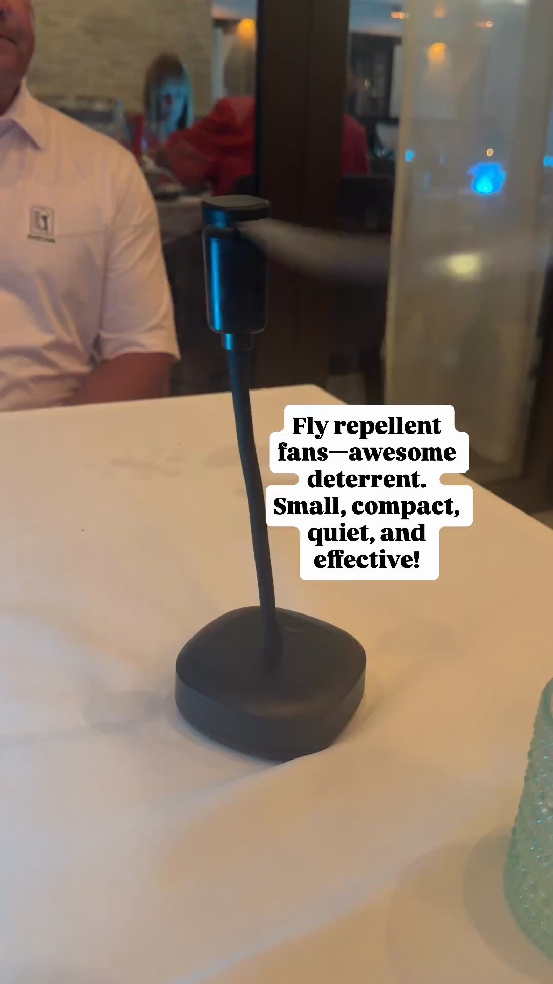 Deterrent for flies

#LTKOver40 #LTKHome
