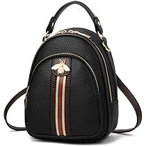 Designer Small Backpack for Women Fashion Shoulder Handbags Ladies Backpack Purse | Amazon (US)