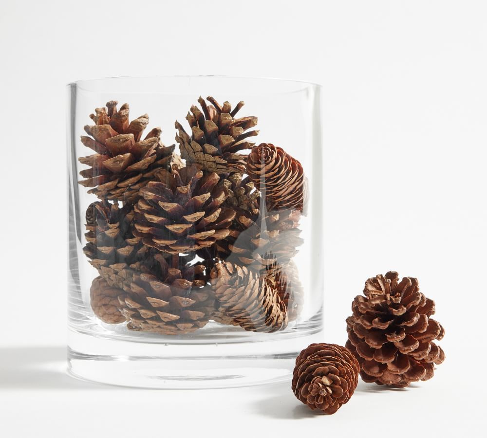 Mixed Pinecone Vase Filler, Brown | Pottery Barn (US)