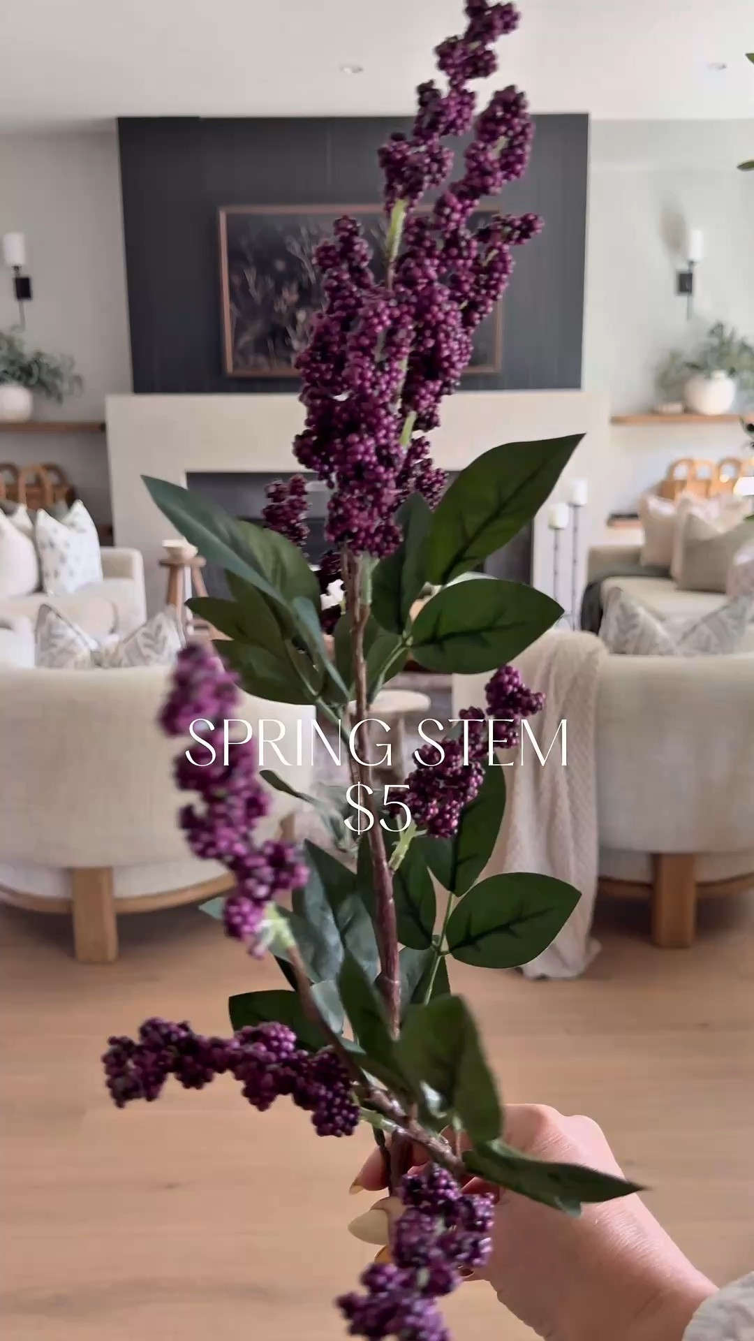 Budget friendly..moody Spring stem. 
Love the rich vibe these bring. 
Coffee table styling 