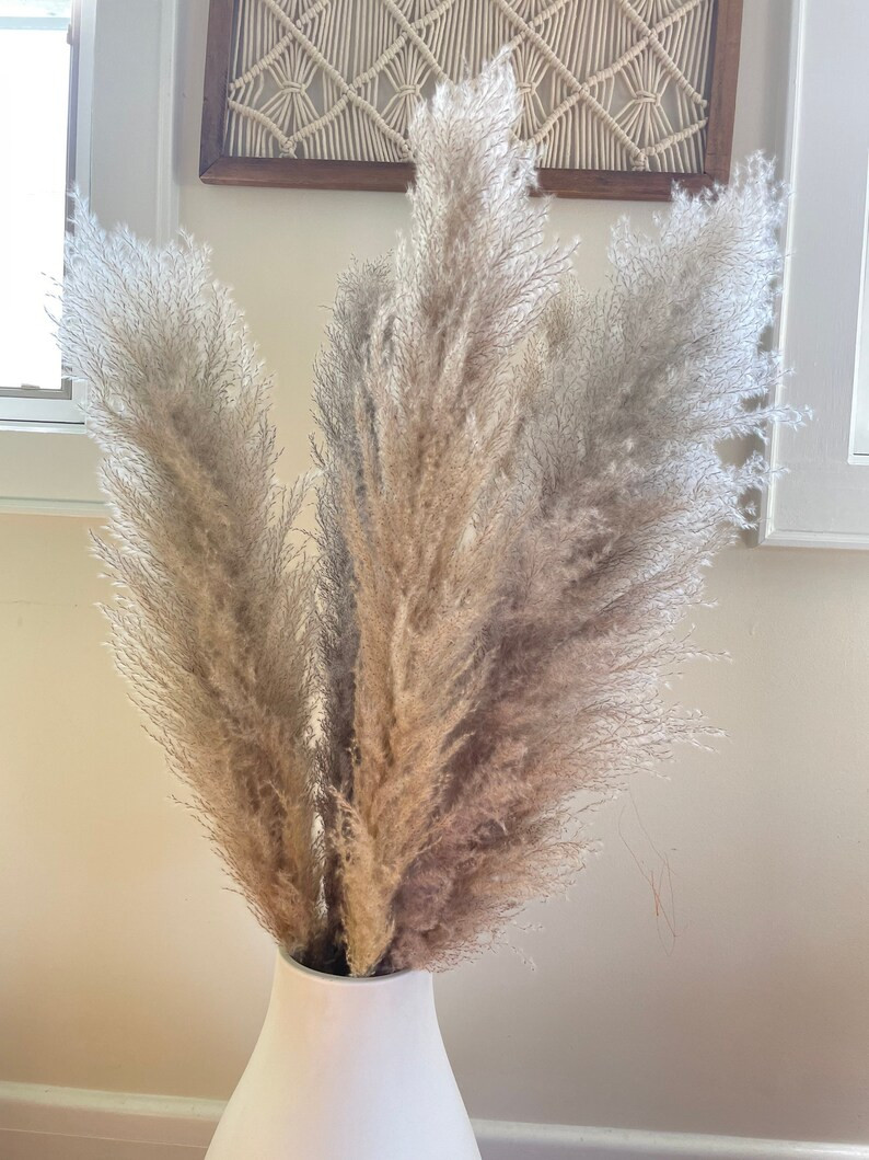 Fluffy XL 5 Grey & Beige Toned Pampas Grass Bundle Home Decor - Etsy | Etsy (US)