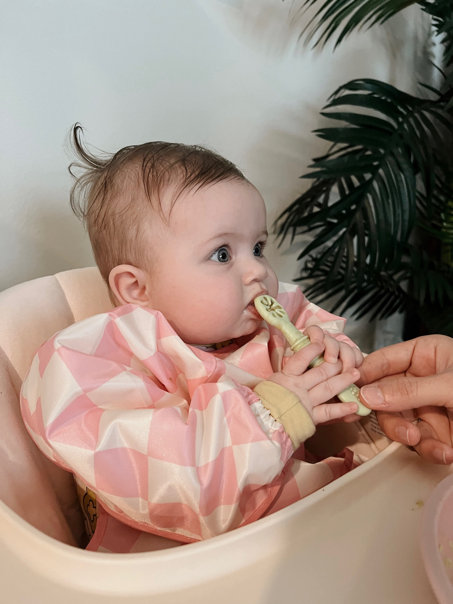 Our favorite spoons for BLW! #babyfeeding 

#LTKkids #LTKbaby #LTKfamily