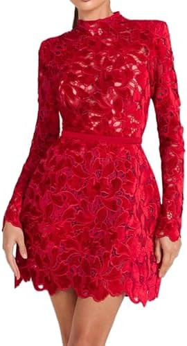 Black Lace Dress Long Sleeve Short Elegant Fitted Party Fashion Mini Dress | Amazon (US)