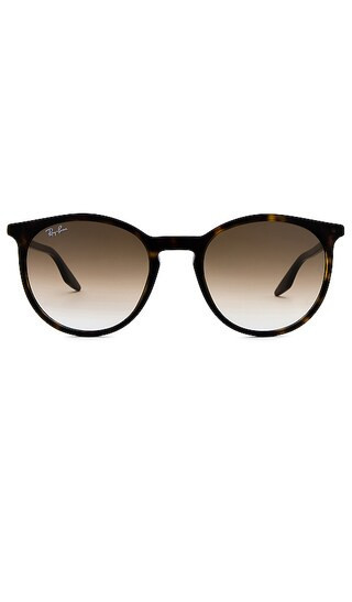 Ray-Ban Round Sunglasses in Brown. | Revolve Clothing (Global)