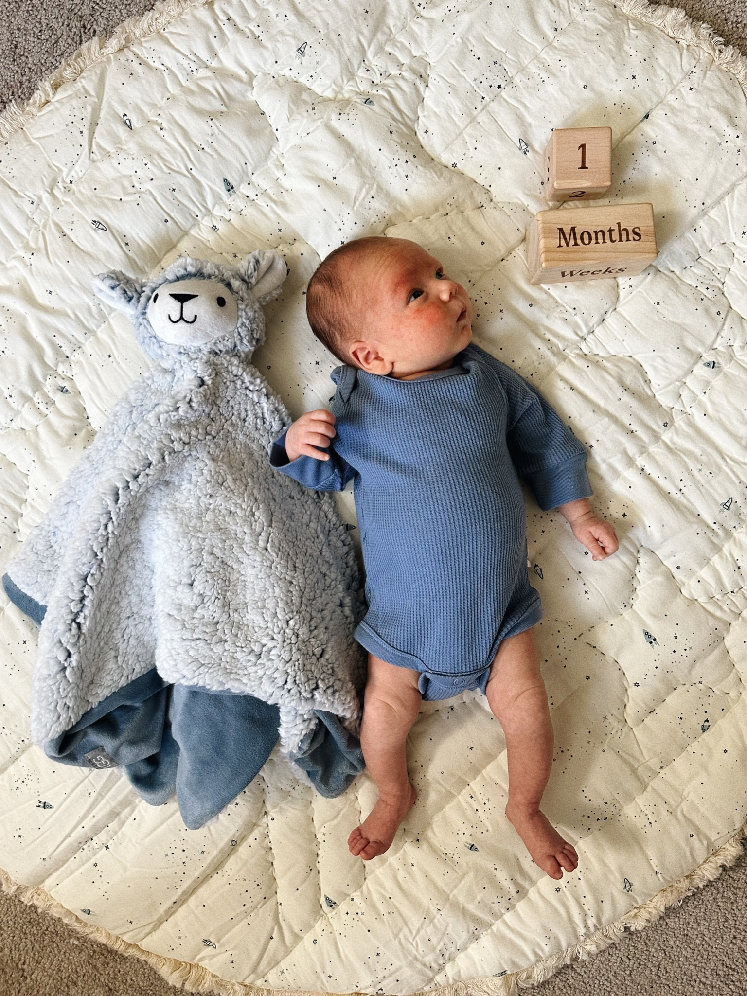 Baby milestone blocks/blanket 

Exact blocks are from the Lalo newborn Play Box - linked similar
Pehr blanket 
Tiny Kind waffle outfit newborn 

#LTKBaby