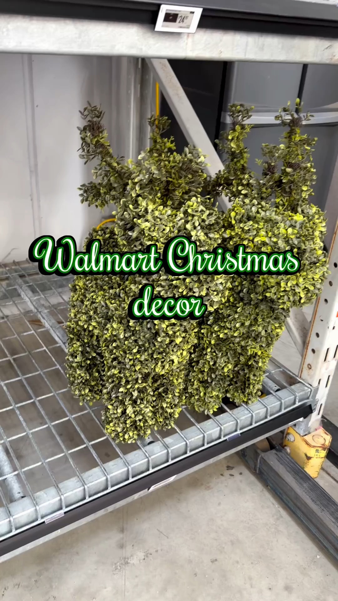 FOLLOW ME & comment HOLLY 🎄

Want to find the BEST Walmart Christmas decor before it sells out? 👀 Follow me for daily Walmart finds, holiday decorating ideas & cozy Christmas inspiration! ❤️✨

The Holiday Time + My Texas House collections are SO good this year! 🎄🏡

Walmart Christmas decor • Walmart finds • Holiday Time • My Texas House • farmhouse Christmas • cozy Christmas decor

#WalmartFinds #WalmartChristmas #HolidayTime #MyTexasHouse #ChristmasDecor