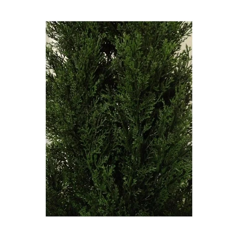 CodYinFI Two 4 Foot Outdoor Artificial Cedar Topiary Trees Uv Rated Potted Plants | Walmart (US)