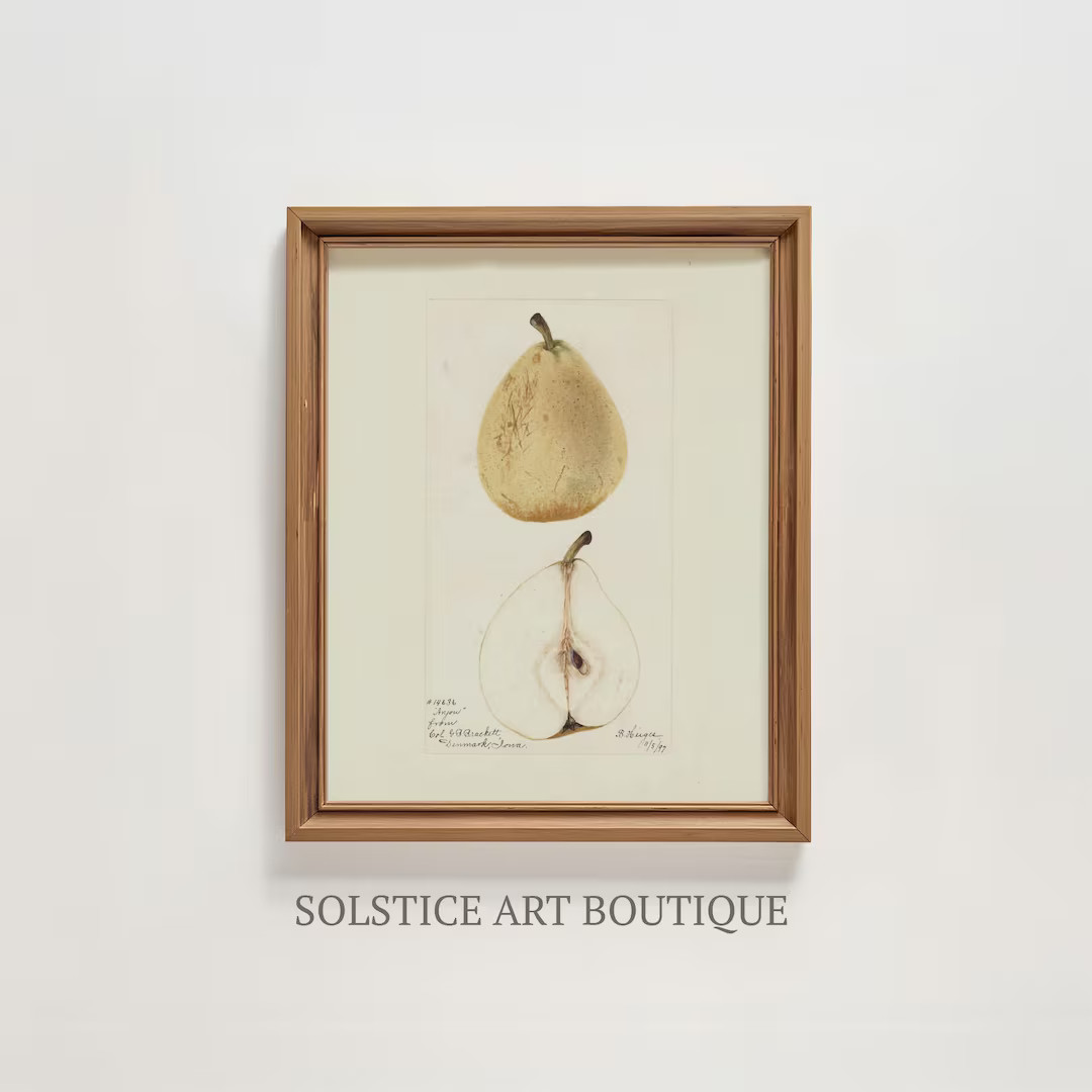 Vintage Pear Sketch | Neutral Botanical Drawing | Printable Vintage Kitchen Drawing | Farmhouse C... | Etsy (US)