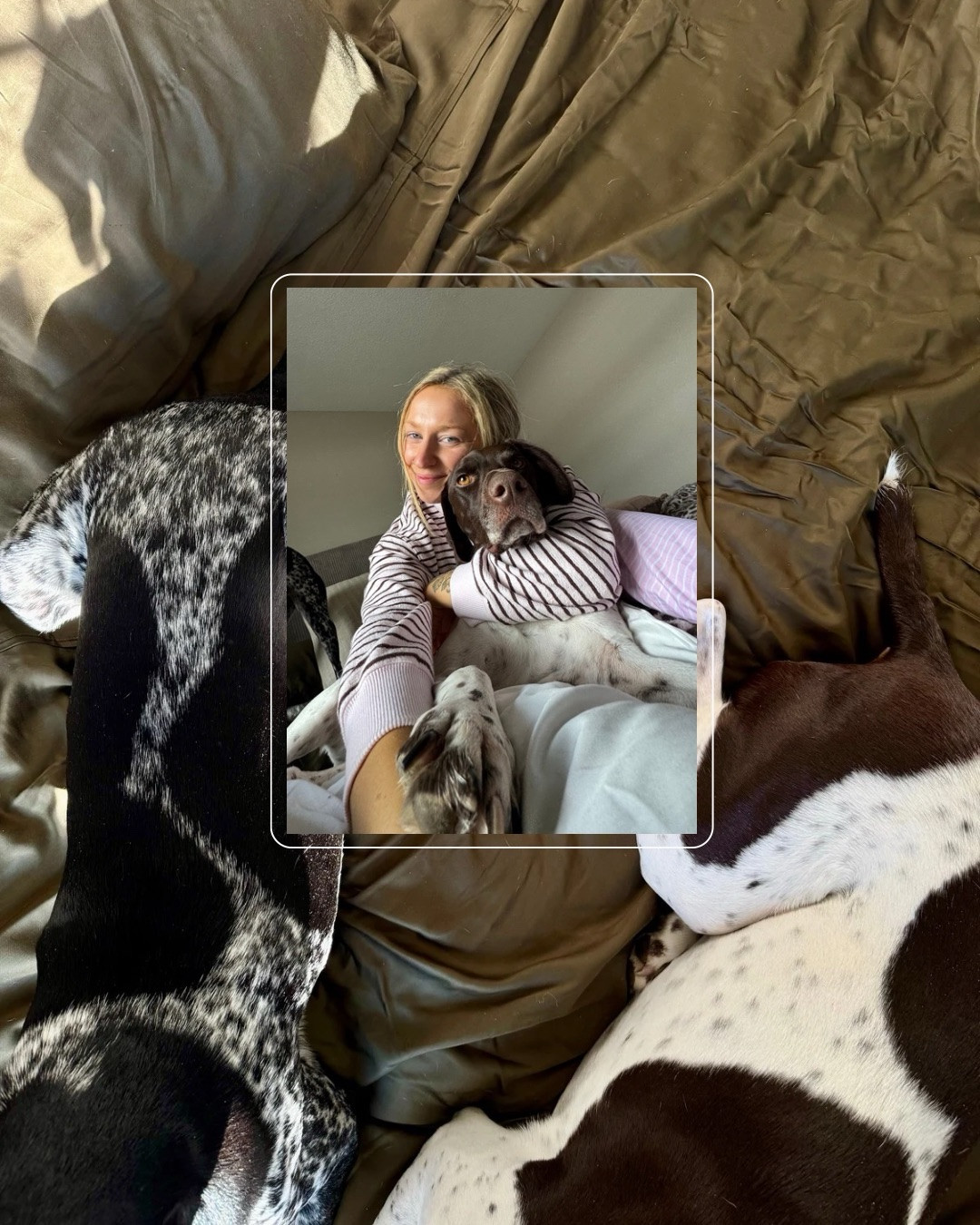 These sheets from @bleubullybedding are buttery soft and stay cool when Millie is sleeping directly on top of me… & they are easy to wash when Willa brings half the yard into bed 😅 

Sateen Sheet in Forest Green & Sateen Duvet Cover in Ivory White 🤍

A DREAM!!✨
