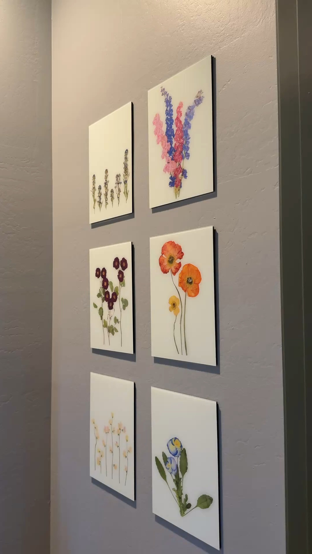 A meaningful Mother's Day gift idea that feels personal and beautiful in the home.
I created this little gallery wall with Fracture's Pressed Floral Print collection, choosing florals that represent special memories, from my daughter's birth month flower to sweet peas that remind me of my grandmother's garden.
Shop Fracture through the links below for a thoughtful gift.
#fractureprintspartner #ad 

#LTKHome #LTKMothersDay #LTKmomlife