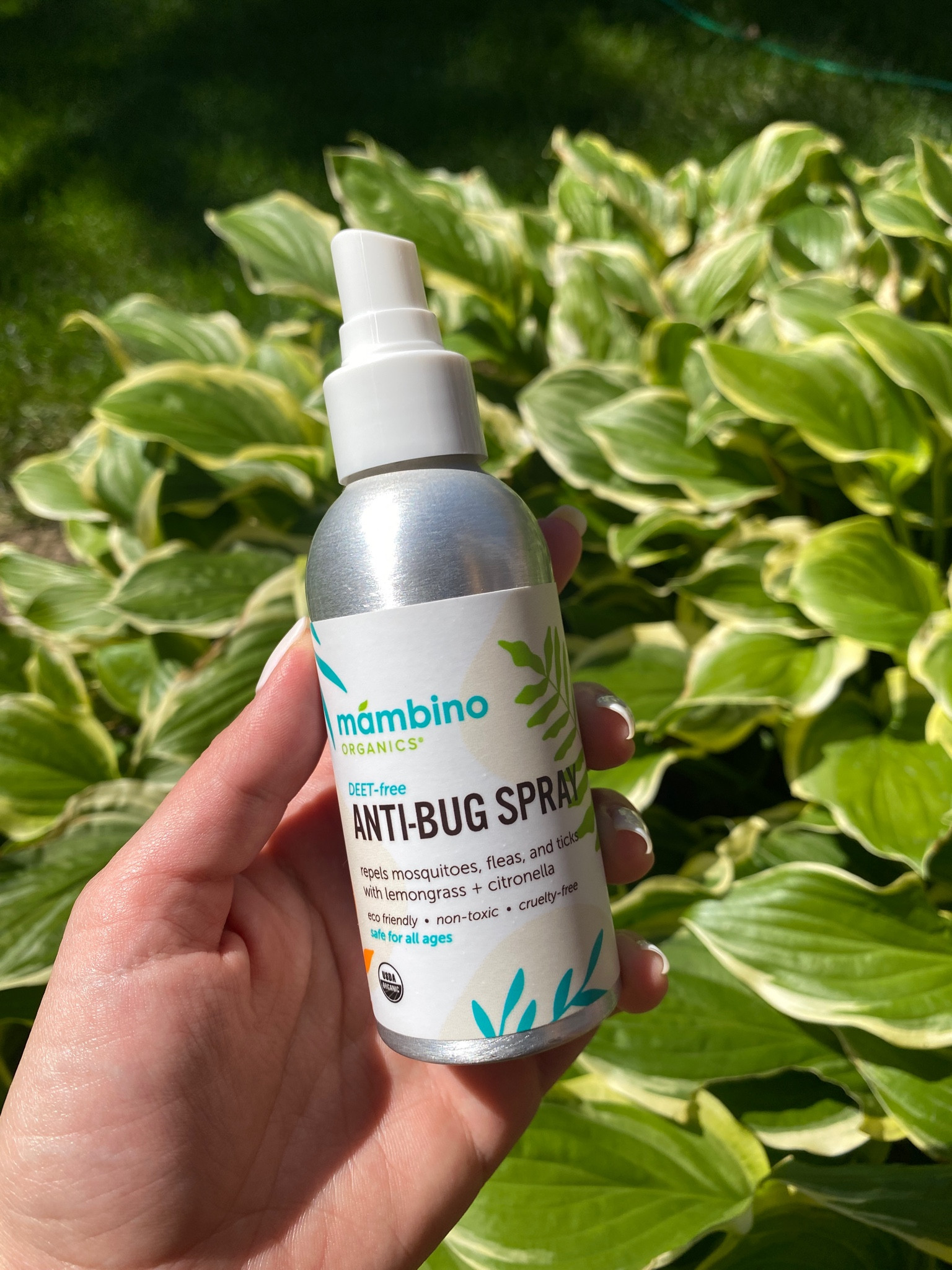 The BEST bug spray. Perfect for kids and I love it for myself too. Totally organic & non-toxic. You need this for the season! 

#LTKFamily #LTKSeasonal #LTKKids