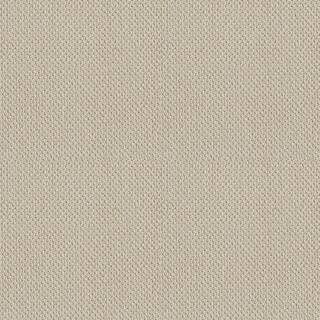 Lifeproof Lightbourne - Flaxen - Beige 39.3 oz. Nylon Loop Installed Carpet HDE8989172 - The Home... | The Home Depot