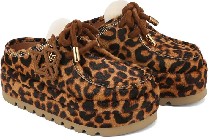 Blizzard Genuine Shearling Platform Clog (Women) | Nordstrom