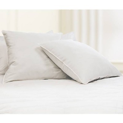 Feather Filled Euro Square Pillow White 2pk - Blue Ridge Home Fashions | Target
