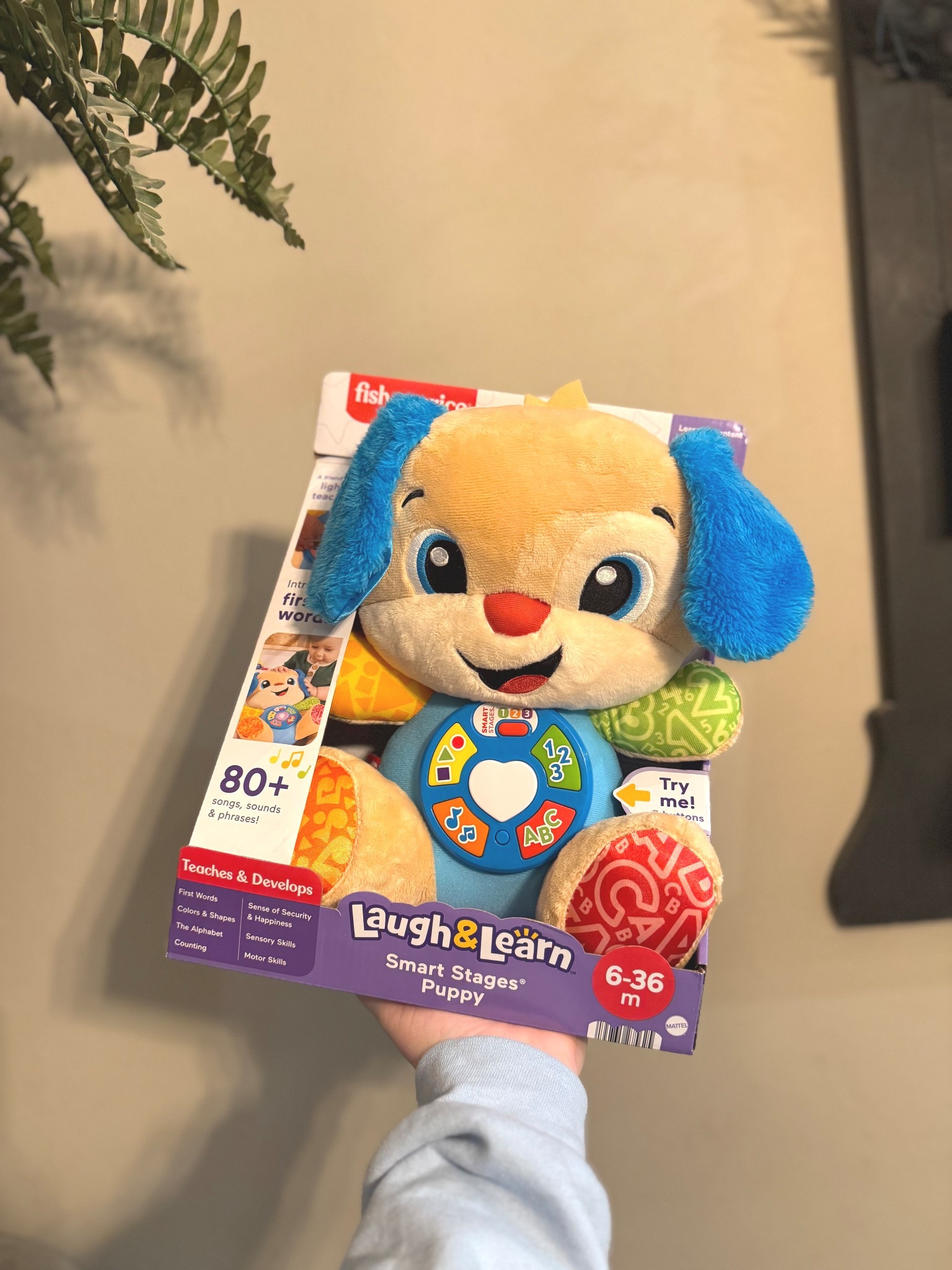 Christmas gift for the little babies! 

#LTKGiftGuide #LTKBaby #LTKHoliday